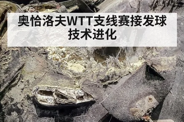 奥恰洛夫WTT支线赛接发球技术进化（jiuyou game）